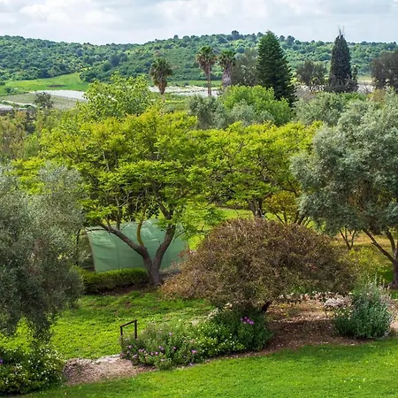 Villa Amikam Meshek 81 משק 81 עמיקם Extérieur photo