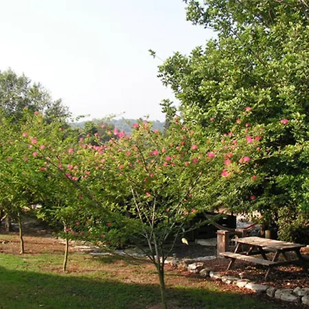 Villa Amikam Meshek 81 משק 81 עמיקם Extérieur photo