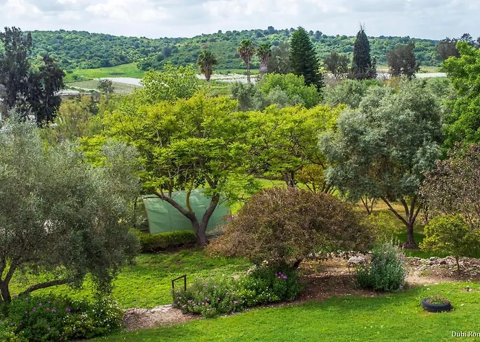 Amikam Meshek 81 משק 81 עמיקם